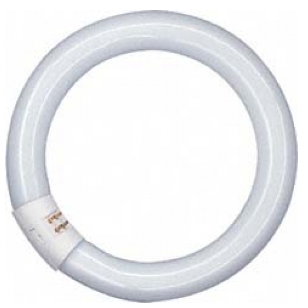 UNI-Elektro Leuchtstoffröhre T8 von UNI-Elektro OSRAM Ring-Leuchtstoffröhre 22W L22W840 Circular