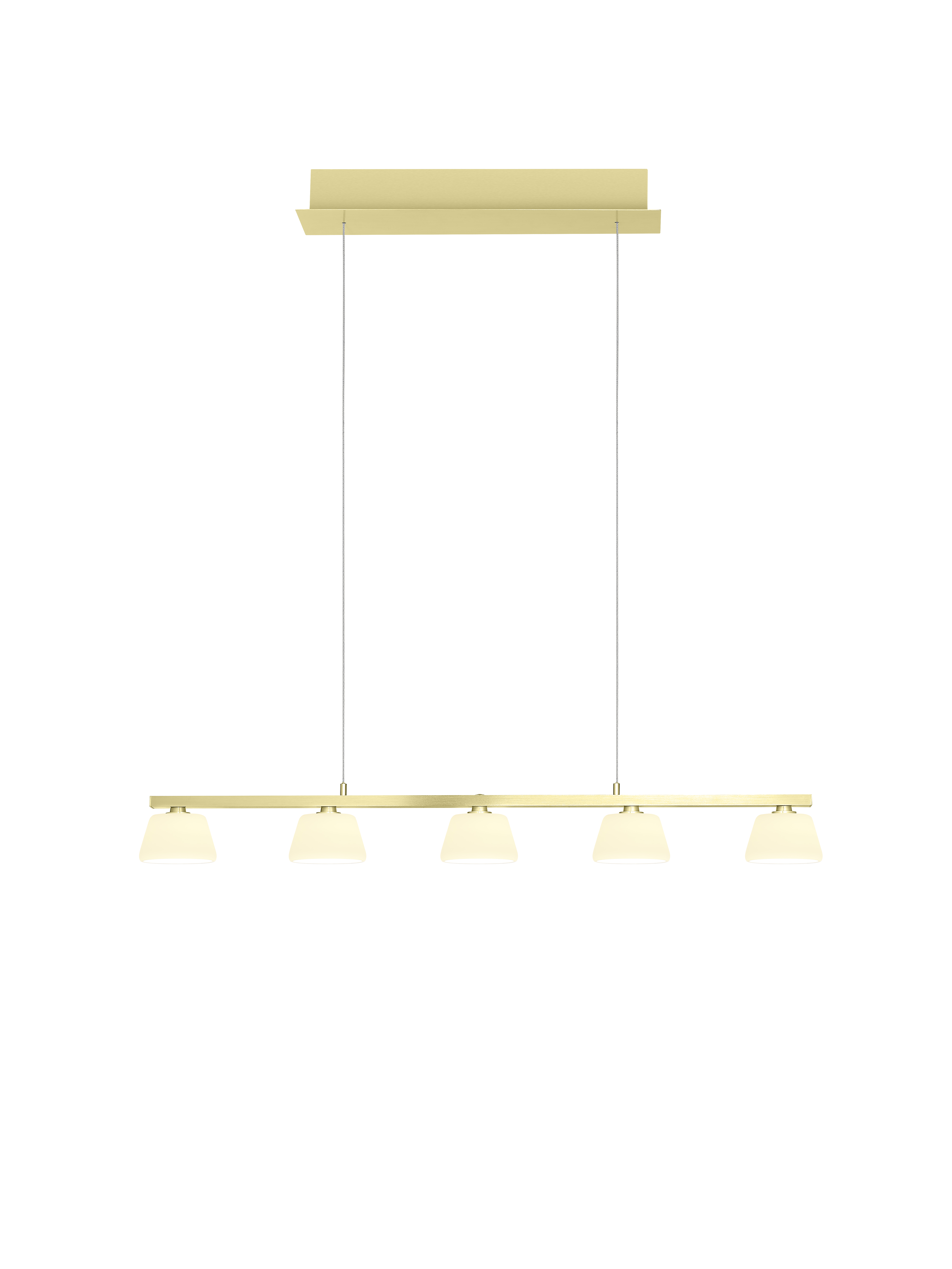 HELL Leuchten - 20702/5-42 - JANE Pendelleuchte