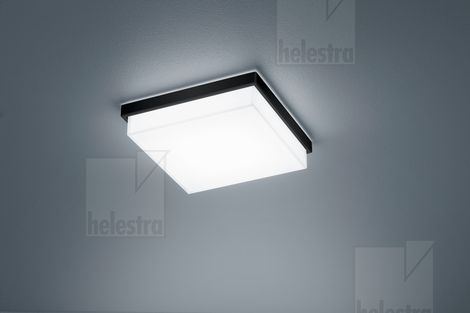 Helestra LeuchtenCOSI LED Deckenleuchte