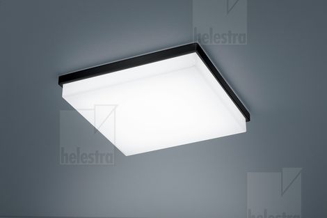 Helestra LeuchtenCOSI LED Deckenleuchte