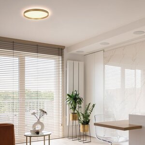 Steinhauer von Steinhauer Deckenlampe Flady  4367GO