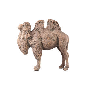 Amaleah Braun Magnesia Kamel Statue
