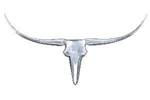 Serie BULL VON ALLE von Alle von Casa Élite Wanddekoration Geweih BULL 8528