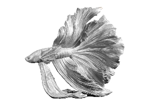 Casa Élite Figuren von Casa Élite Deko-Fisch CROWNTAIL 43175