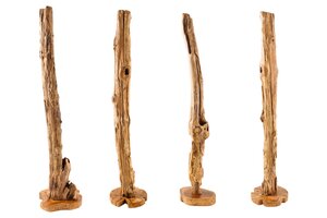 Casa Élite Artikel von Casa Élite Skulptur REEF  35488