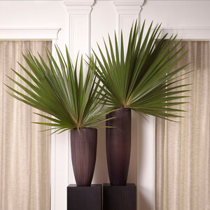 Eichholtz&nbsp;Vasen Isandro XL&nbsp;120040