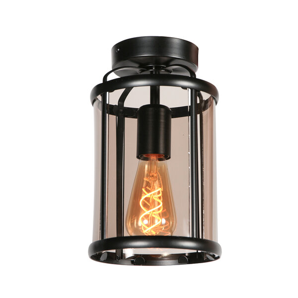 Steinhauer&nbsp;Deckenleuchte Pimpernel &nbsp;5973ZW