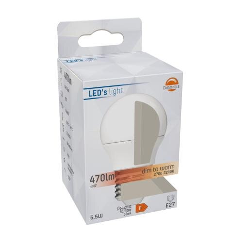 LED-Lichtquelle der Firma Steinhauer