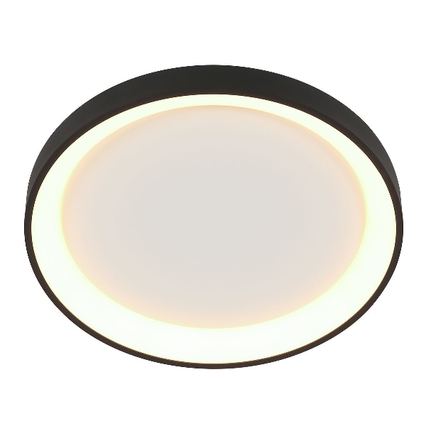 Deckenleuchte Ringlede der Firma Steinhauer