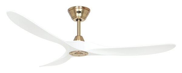 Eco Genuino 152 MG-MW der Firma Casafan
