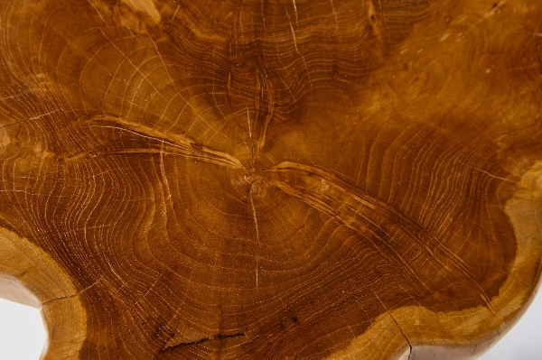 Beistelltisch ROOT der Firma Casa Élite