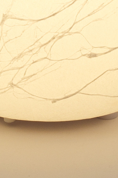 Tischleuchte 1-flg. MOON PICCOLO der Firma Holländer Leuchten