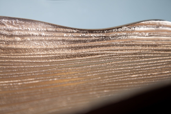 Schale LEAF  der Firma Casa Élite