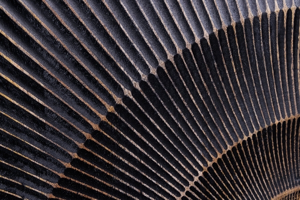 Barschrank GOLDEN SUNSET 3D der Firma Casa Élite