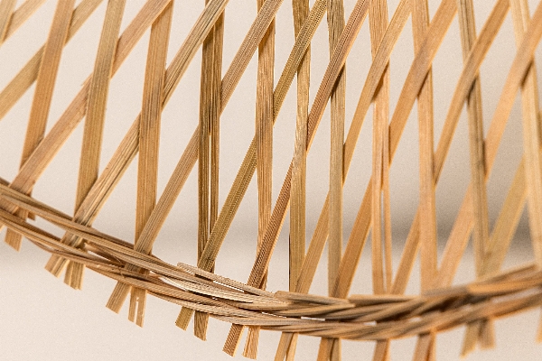 Hängeleuchte ORGANIC LIVING der Firma Casa Élite