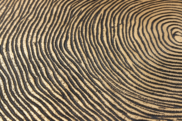 Couchtisch ORGANIC der Firma Casa Élite