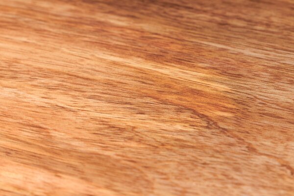 Wandregal PURE NATURE  der Firma Casa Élite