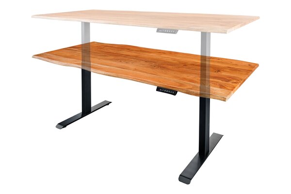 Schreibtisch MAMMUT  der Firma Casa Élite