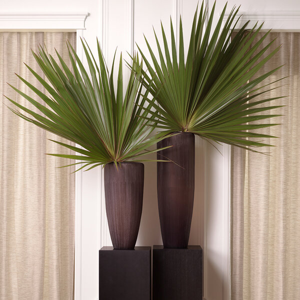 Vasen Isandro L der Firma Eichholtz