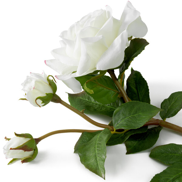 Rosenstrauß real touch 72 Stück/2 Sorten der Firma Eichholtz