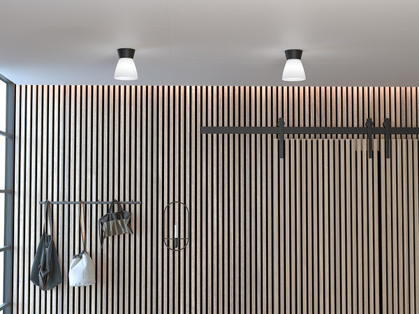 Bizzo ceiling D165 black/opal glass E27 der Firma Belid Leuchten