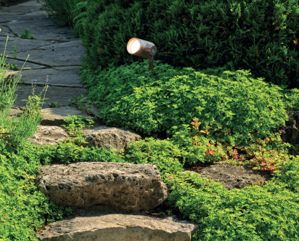 Spießleuchte Spotty der Firma Royal Botania